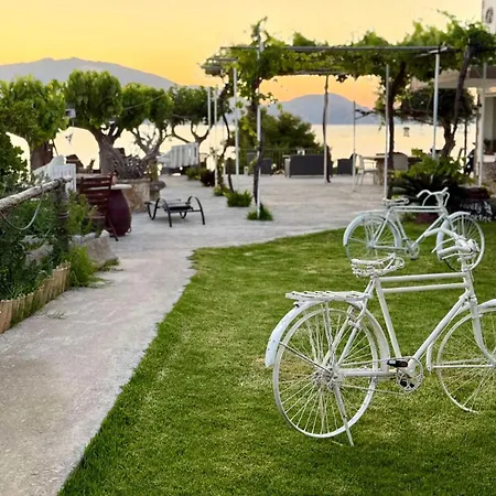 Koklas * Lithakia (Zakynthos)