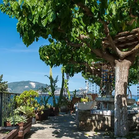 Koklas Lithakia (Zakynthos)